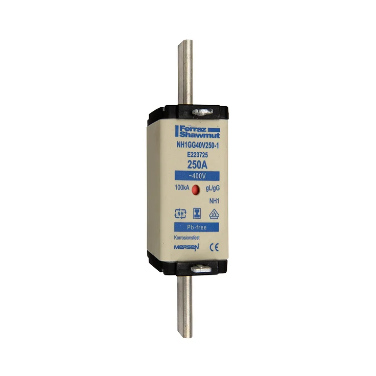 NH1GG40V250-1 PHP-E223725